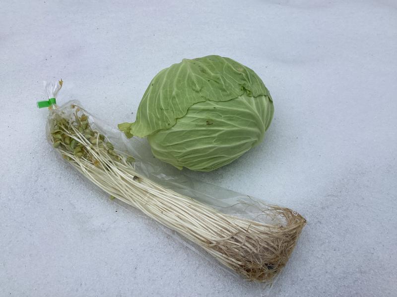 サニタスガーデンから野菜をいただきました。